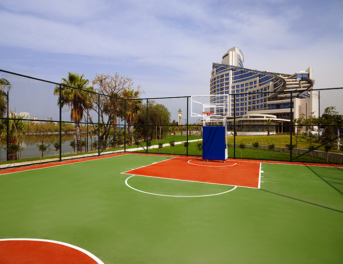 Basketball Court Basketball Court